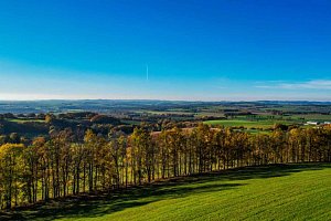 Newsletter JCCR - listopad 2022