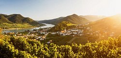 Wachau