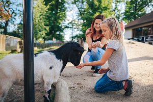 Jižní Čechy vítají jaro pestrým programem a tipy na výlety do přírody pro malé i velké